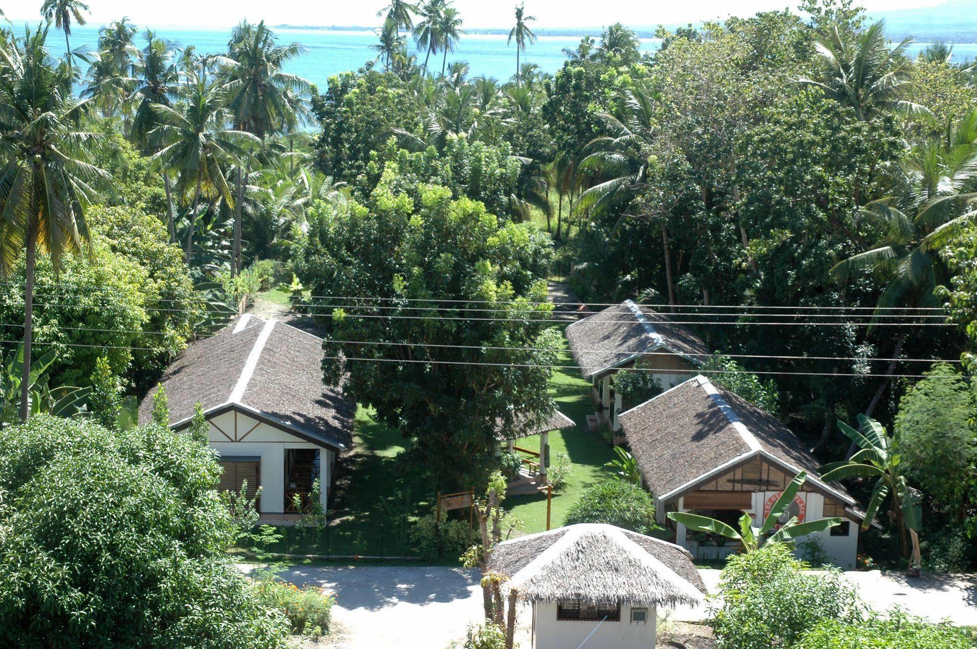 Neptune Diving Resort Santander Luaran gambar